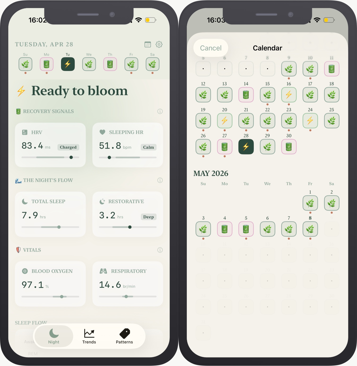 Insights, not sleep scores screenshot